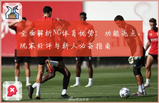 全面解析NG体育优势：功能亮点、玩家好评与新人必备指南