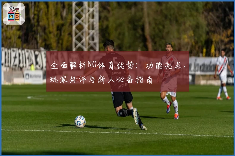 全面解析NG体育优势：功能亮点、玩家好评与新人必备指南