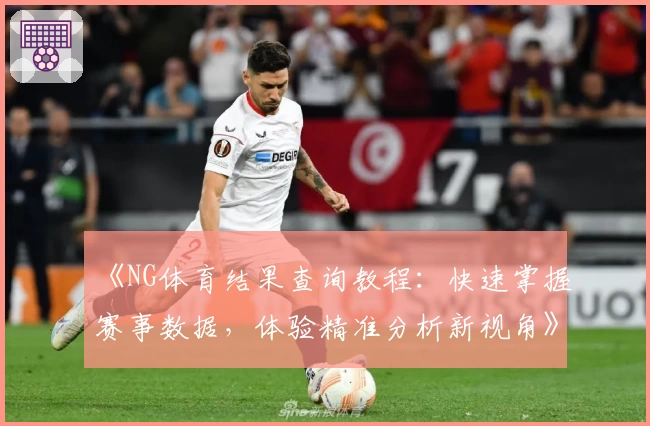 《NG体育结果查询教程：快速掌握赛事数据，体验精准分析新视角》