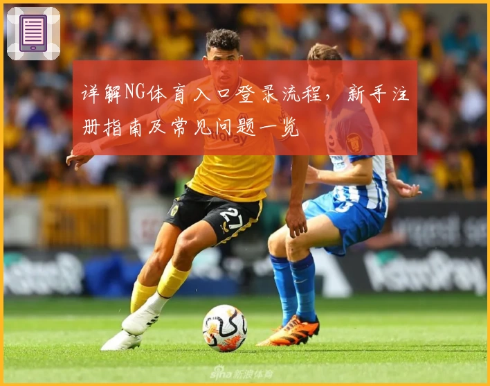 详解NG体育入口登录流程，新手注册指南及常见问题一览