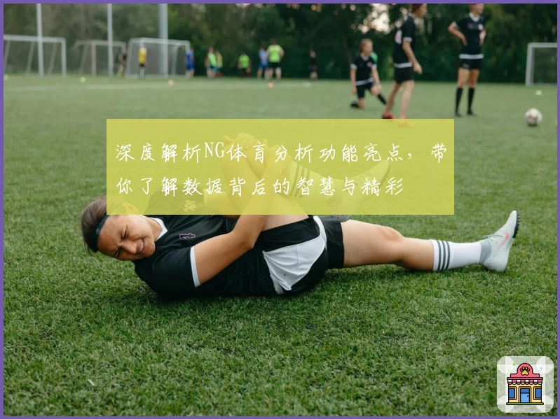 深度解析NG体育分析功能亮点，带你了解数据背后的智慧与精彩
