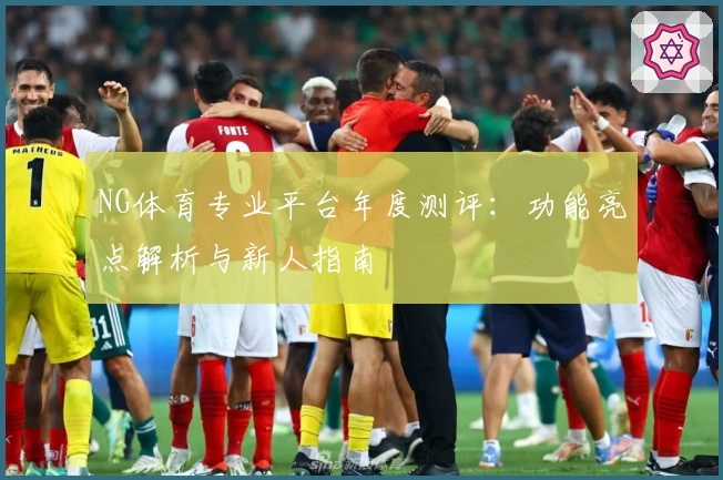 NG体育专业平台年度测评:功能亮点解析与新人指南
