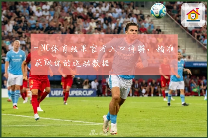 - NG体育结果官方入口详解，精准获取你的运动数据