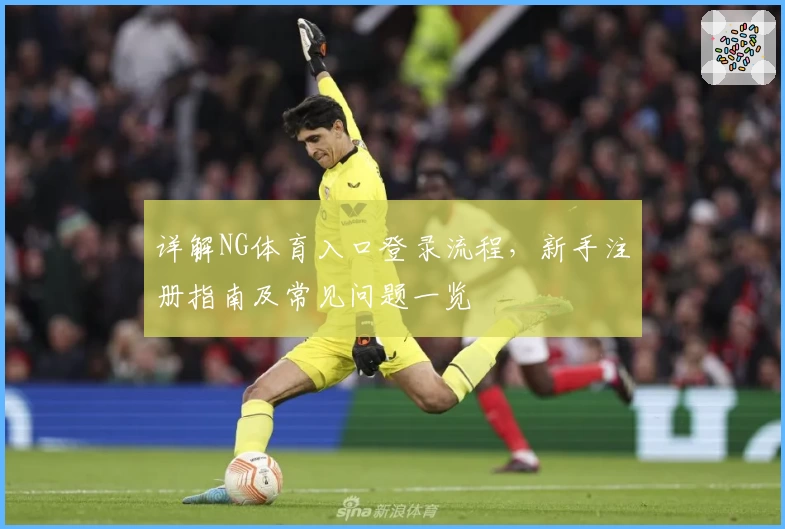 详解NG体育入口登录流程，新手注册指南及常见问题一览