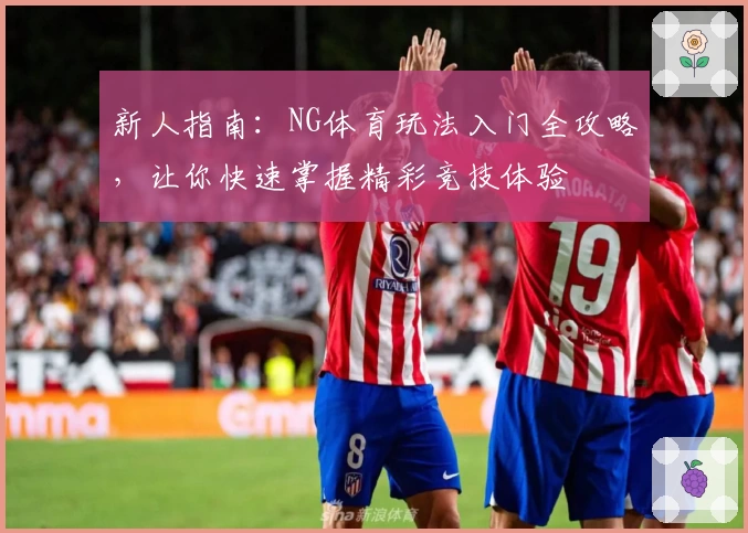 新人指南：NG体育玩法入门全攻略，让你快速掌握精彩竞技体验